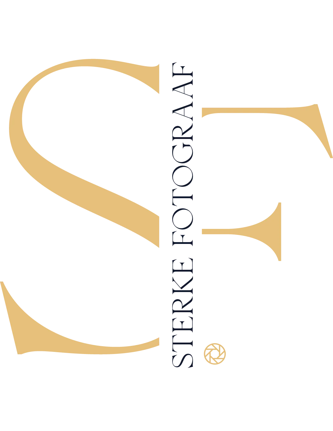 Nieuw logo sf goud